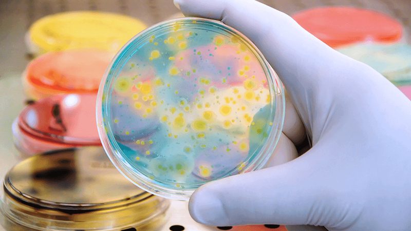 生物药CDMO排名，揭秘行业实力与选择标准