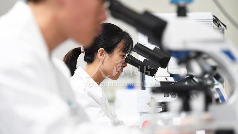 抗体药物临床试验批件申请：流程解析与关键要点