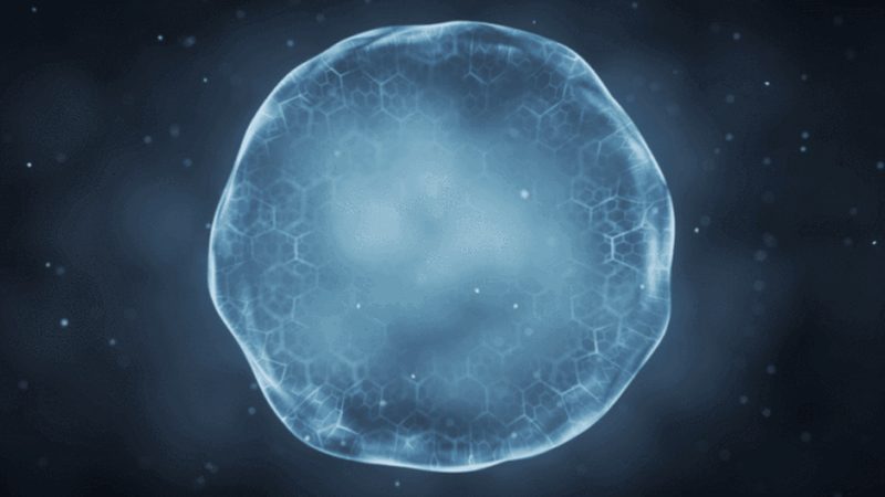 揭秘生物试剂定制服务周期：从设计到交付的幕后旅程