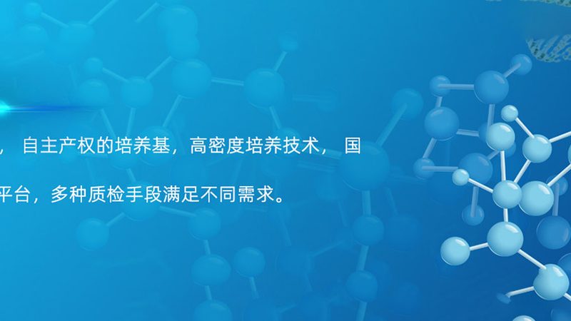 宠物PCR检测：揭秘结果出炉的秘密