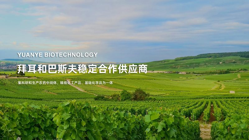 CRO公司怎么选？从项目执行细节看专业度