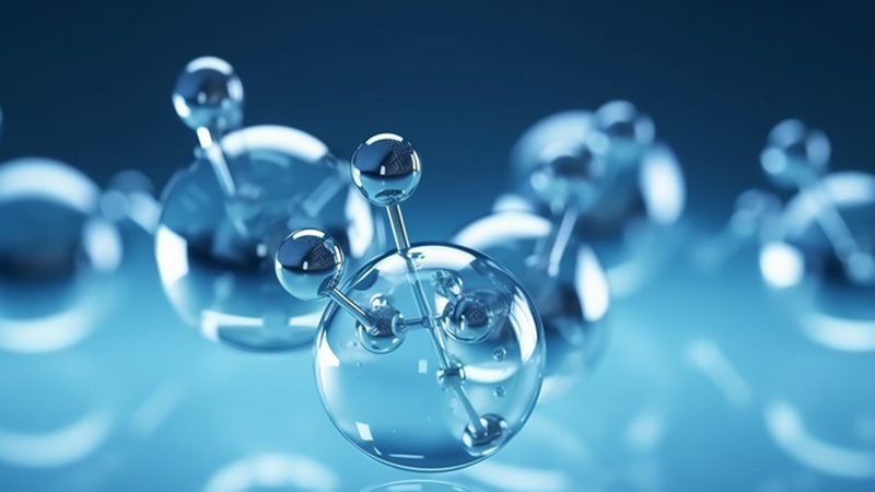 揭秘上海CDMO公司排名背后的考量因素
