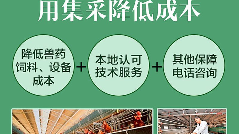 离心管规格选择：揭秘实验室中不可或缺的细节
