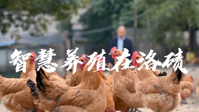 离心管盖子为什么总是卡不牢